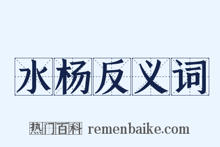 水杨反义词是什么意思的图片